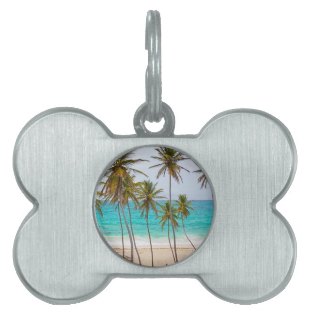 Beach Palms Pet ID Tag (Front)