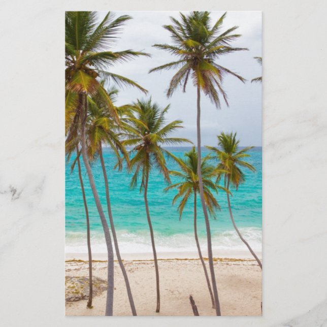 Beach Palms Stationery (Front)