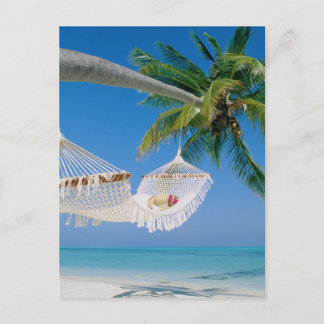 Beach Paradise Vacation Hammock Postcard