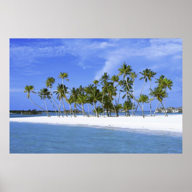 beach paradise with hammock_Maldives poster (Front)