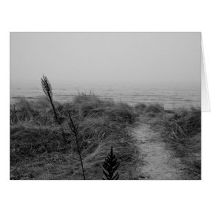 Beach path