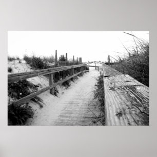 Beach Path Photo Print