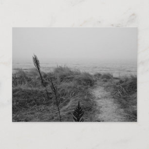 Beach path postcard