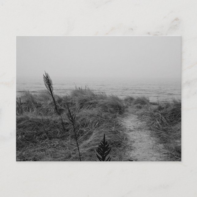 Beach path postcard (Front)