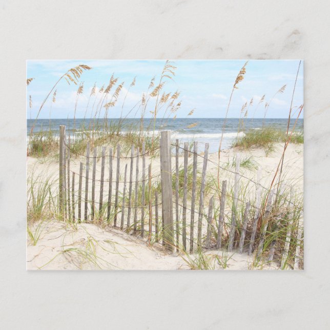Beach Postcard (Front)