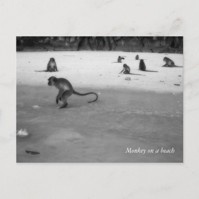 Beach Postcard (Front)