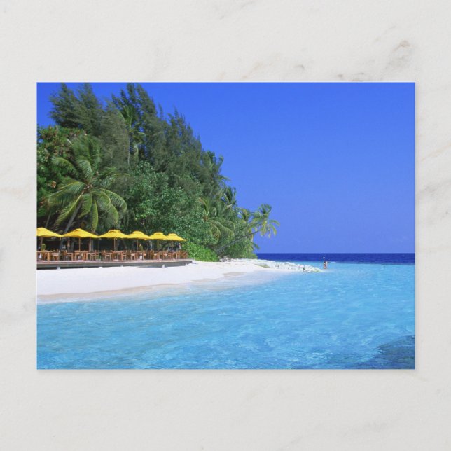 Beach Postcards (Front)