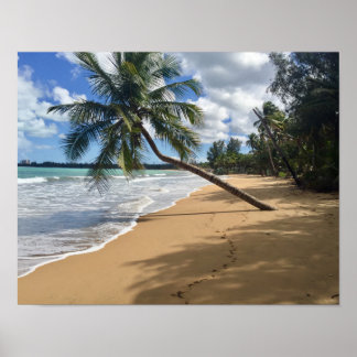 beach poster