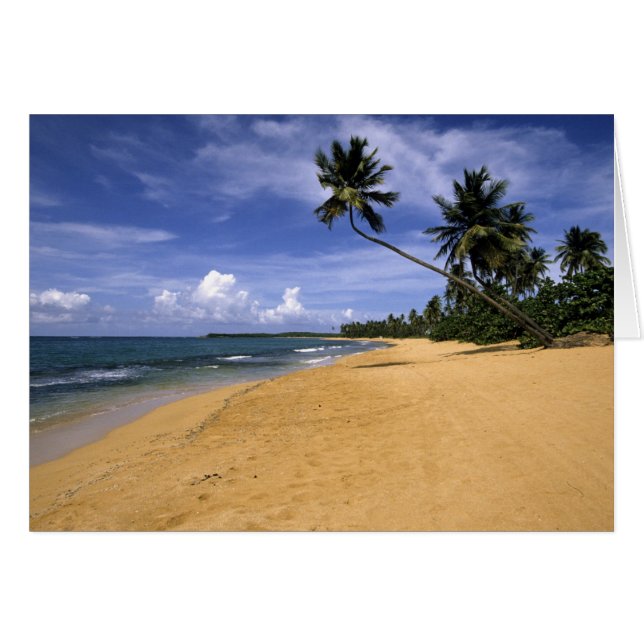 Beach Puerto Rico 2 (Front Horizontal)
