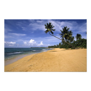 Beach Puerto Rico 2 Photo Print