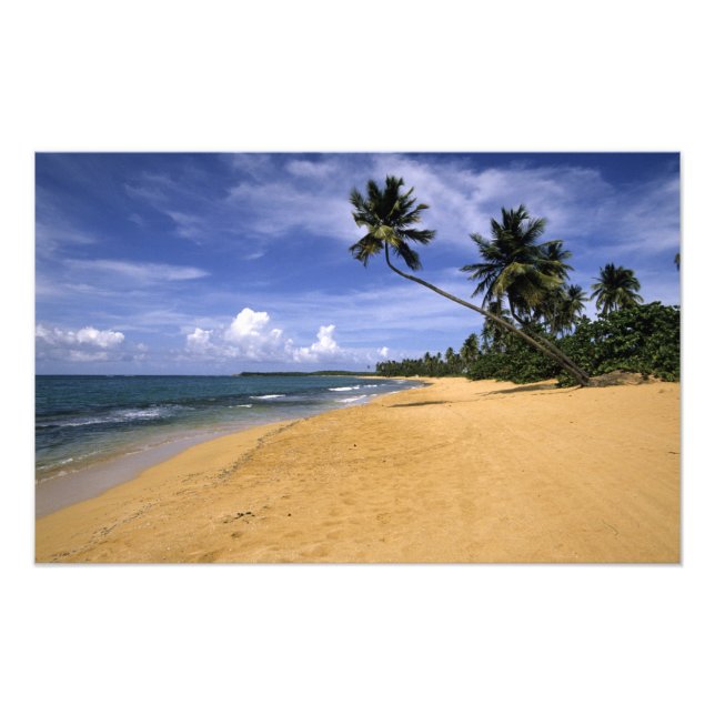 Beach Puerto Rico 2 Photo Print (Front)