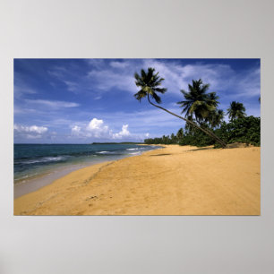 Beach Puerto Rico 2 Poster