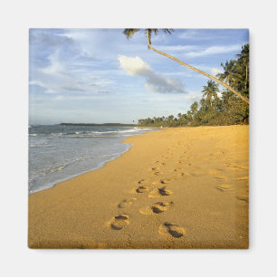 Beach Puerto Rico Magnet