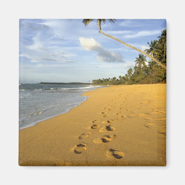 Beach Puerto Rico Magnet (Front)