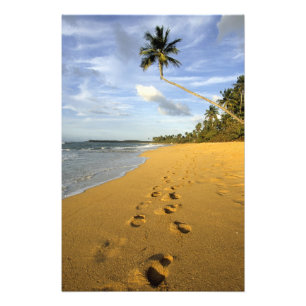 Beach Puerto Rico Photo Print