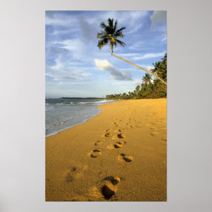 Beach Puerto Rico Poster