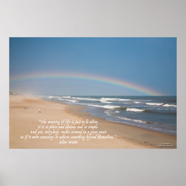 Beach, Rainbow and the Meaning of Life Poster (Front)