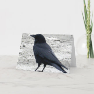 Beach Raven Notecard