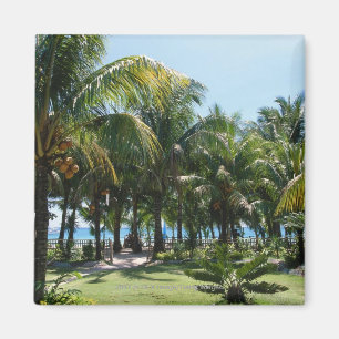 Beach resort magnet