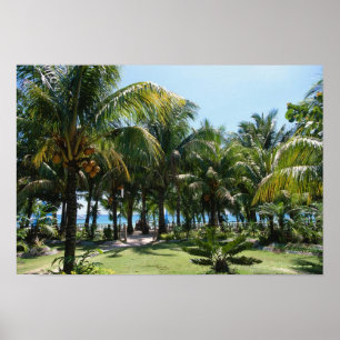 Beach resort poster