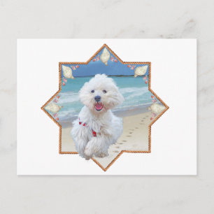 Beach Run Postcard