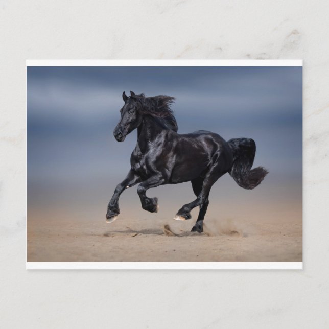 Beach running postcard (Front)