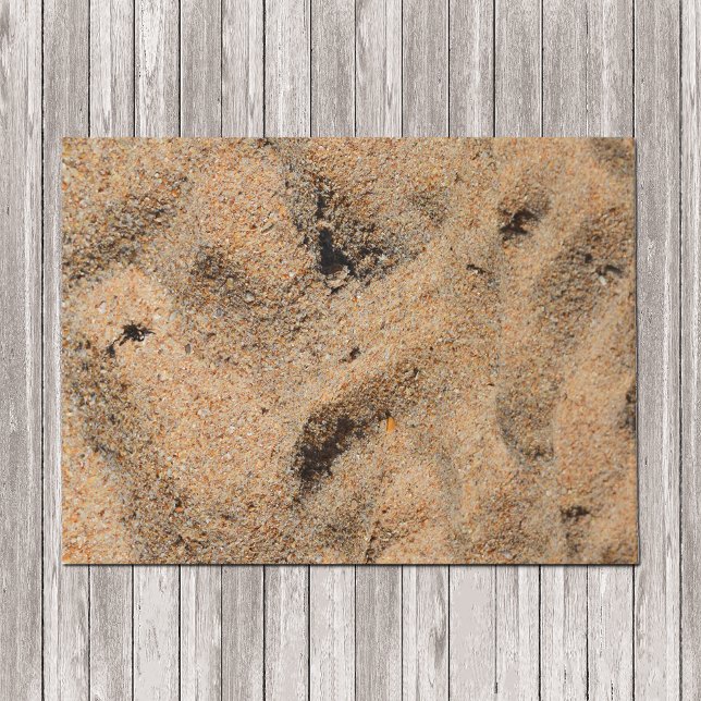 Beach Sand Doormat (Creator Uploaded)