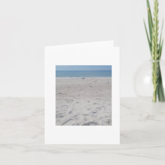 Beach Sand Piper, Blank Card personalisation