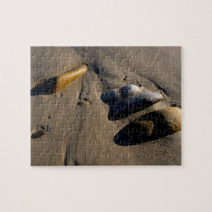 Beach/Sand/Stones/Rocks/Pebbles Jigsaw Puzzle
