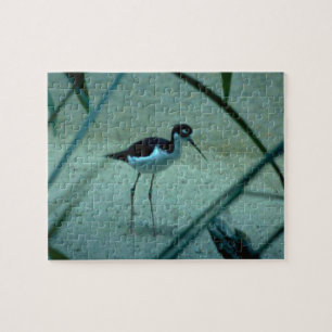 Beach Sandpiper Bird Jigsaw Puzzle