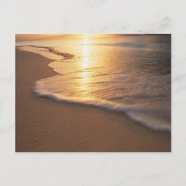 beach scene postcard (Front)