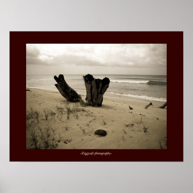 beach scene poster (Front)