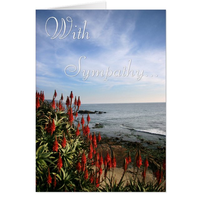 Beach Scene With Sympathy Greeting Card (Front)