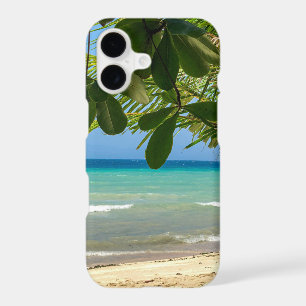 Beach scenery. Philippines. Moalboal. White beach.