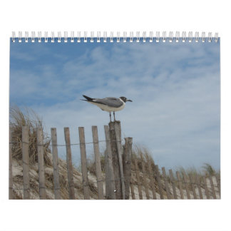 Beach Scenes 19 month 2011-2012 Calendar