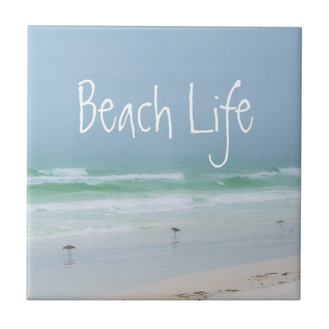 Beach sea birds aqua blue ceramic tile (Front)