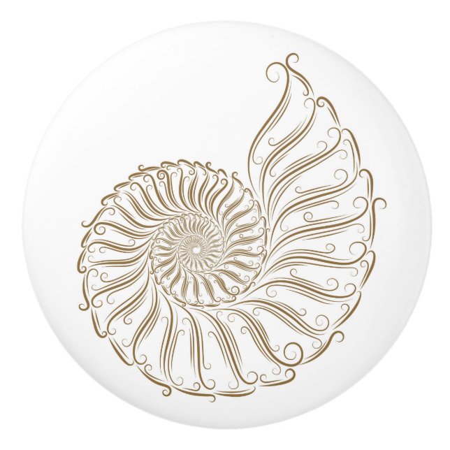 Beach Sea Shell Drawer Knobs - SRF (Front)