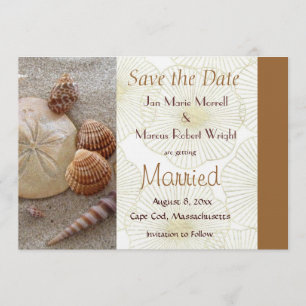 Beach Sea Shells Save the Date Card