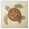 Beach Sea Turtle Coastal Ocean Seashore Sand