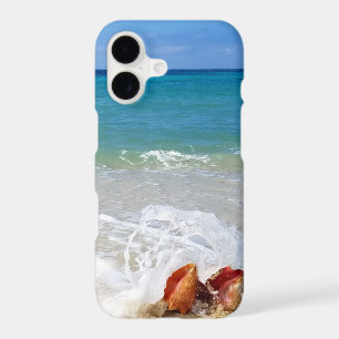 Beach Sea Waves Over Seashells Photography