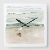 Beach Seagull Cove