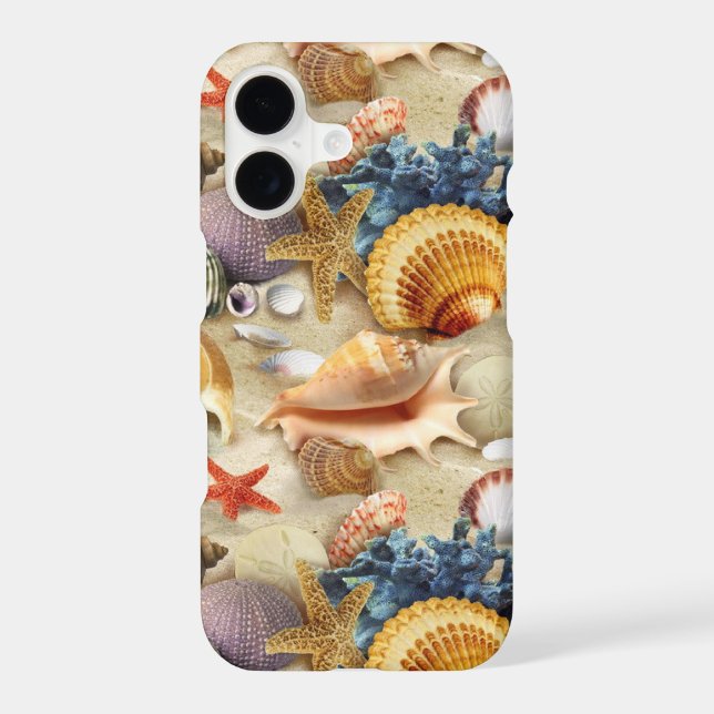 Beach Seashells (Back)