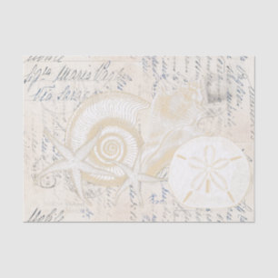 Beach Seashells Cream Italian Writing Tissue Paper
