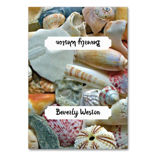 Beach Seashells Tented Place Cards Name Template (Front)
