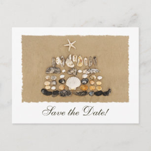 Beach Shell Cake Save the Date Announcement Postcard