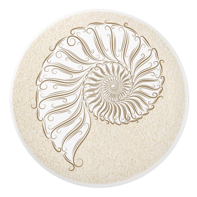 Beach Shell Drawer Knobs (Front)