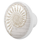 Beach Shell Drawer Knobs