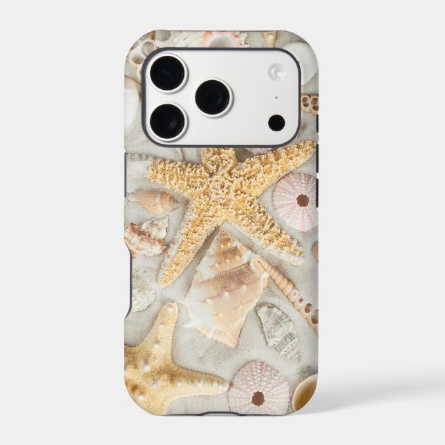 Beach Shells (Back)