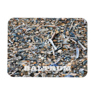 Beach, Shells, Driftwood, Baltrum Island Postcard Magnet