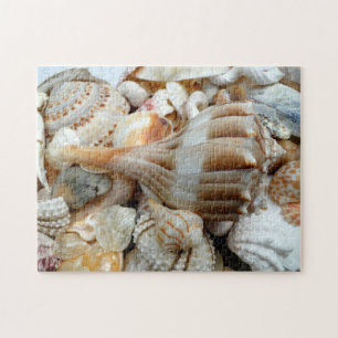 Beach Shells Lightning Whelk Puzzle